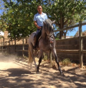 Equestrian Escapes Special Offers